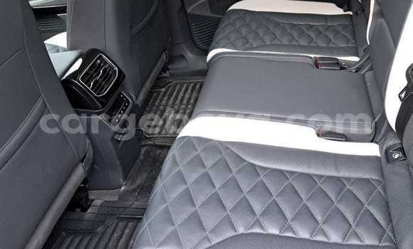 ይግዙ ያገለገለ Volkswagen Bora ነጭ መኪና በ አክል በ ትግራይ ይግዙ ያገለገለ Volkswagen Bora ነጭ መኪና በ አክል በ ትግራይ