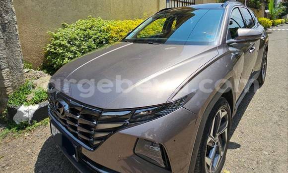 Acheter Occasion Voiture Hyundai Tucson Autre à Addigrat, Tigray Acheter Occasion Voiture Hyundai Tucson Autre à Addigrat, Tigray