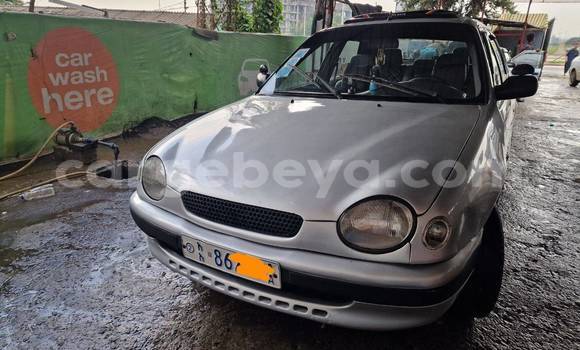 Buy Used Toyota Corolla Other Car in Addiet–Canna in Ethiopia