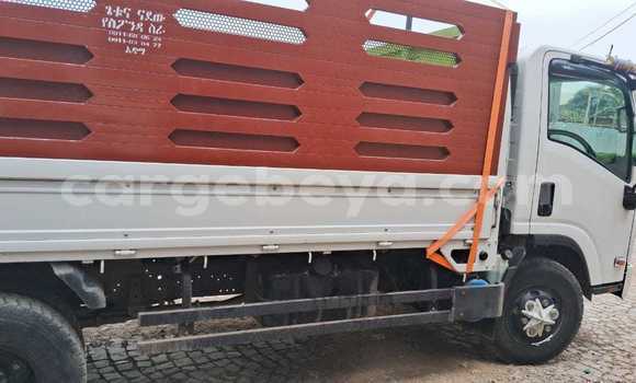 Buy Used Isuzu Aska Other Car in Addis–Ababa in Ethiopia Buy Used Isuzu Aska Other Car in Addis–Ababa in Ethiopia