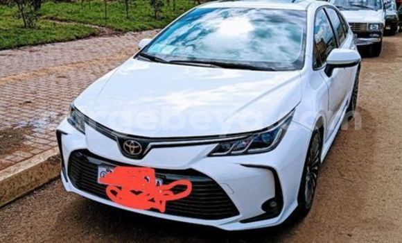 Buy Used Acura CSX Other Car in Abiy Adi in Tigray