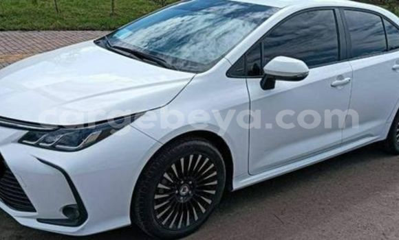 Buy Used Acura CSX Other Car in Abiy Adi in Tigray Buy Used Acura CSX Other Car in Abiy Adi in Tigray