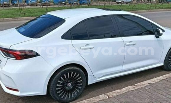 Buy Used Acura CSX Other Car in Abiy Adi in Tigray Buy Used Acura CSX Other Car in Abiy Adi in Tigray
