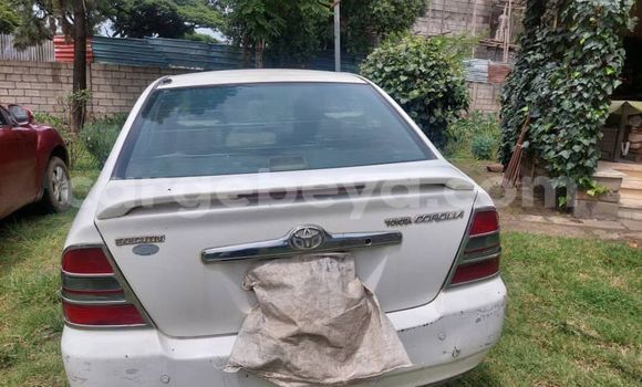 Oofamaa Toyota Corolla Other Makiinaa iti Abiy Adi keessatti Tigray keessatti Oofamaa Toyota Corolla Other Makiinaa iti Abiy Adi keessatti Tigray keessatti