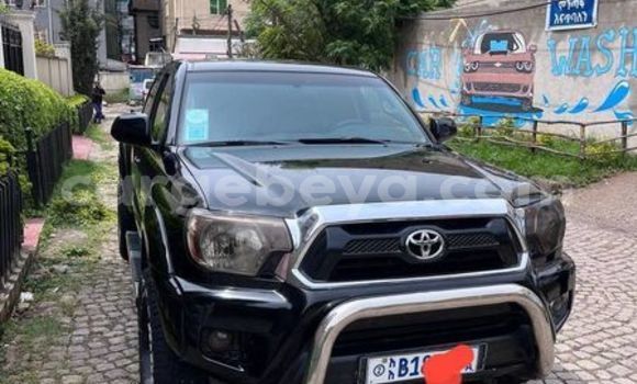 Oofamaa Toyota Tacoma Other Makiinaa iti Abiy Adi keessatti Tigray keessatti Oofamaa Toyota Tacoma Other Makiinaa iti Abiy Adi keessatti Tigray keessatti