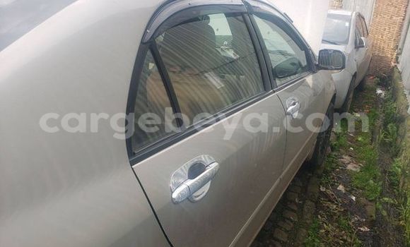 Oofamaa Toyota Dyna Other Makiinaa iti Abiy Adi keessatti Tigray keessatti Oofamaa Toyota Dyna Other Makiinaa iti Abiy Adi keessatti Tigray keessatti