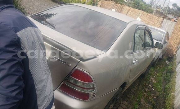 Oofamaa Toyota Dyna Other Makiinaa iti Abiy Adi keessatti Tigray keessatti Oofamaa Toyota Dyna Other Makiinaa iti Abiy Adi keessatti Tigray keessatti