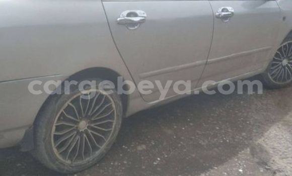 Oofamaa Acura CSX Other Makiinaa iti Addis 'Alem keessatti Amhara keessatti Oofamaa Acura CSX Other Makiinaa iti Addis 'Alem keessatti Amhara keessatti