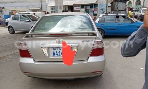 Oofamaa Toyota Corolla Other Makiinaa iti Addiet–Canna keessatti Ethiopia keessatti Oofamaa Toyota Corolla Other Makiinaa iti Addiet–Canna keessatti Ethiopia keessatti