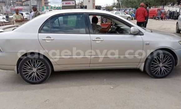 Oofamaa Toyota Corolla Other Makiinaa iti Addiet–Canna keessatti Ethiopia keessatti Oofamaa Toyota Corolla Other Makiinaa iti Addiet–Canna keessatti Ethiopia keessatti