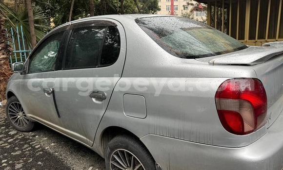 Buy Used Toyota Platz Other Car in Addis–Ababa in Ethiopia Buy Used Toyota Platz Other Car in Addis–Ababa in Ethiopia