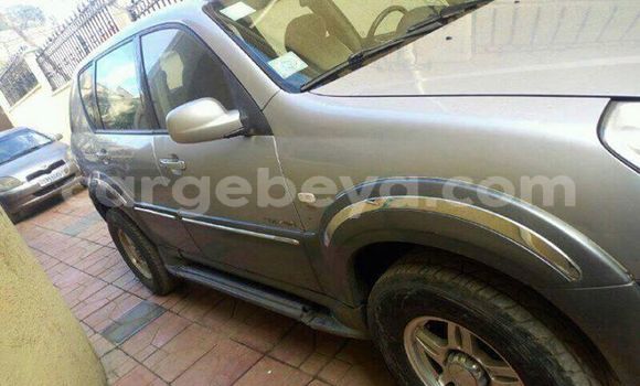 Buy Used SsangYong Rexton Silver Car in Addis–Ababa in Ethiopia