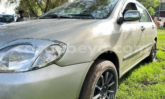 Buy Used Toyota Corolla Other Car in Addigrat in Tigray