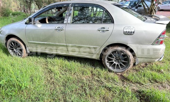 Buy Used Toyota Corolla Other Car in Addigrat in Tigray Buy Used Toyota Corolla Other Car in Addigrat in Tigray
