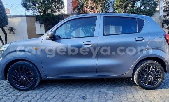 Buy Used Suzuki Celerio Other Car in Addiet–Canna in Ethiopia Buy Used Suzuki Celerio Other Car in Addiet–Canna in Ethiopia