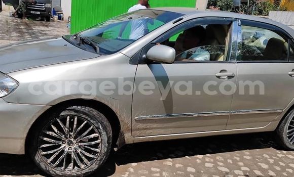 Oofamaa Toyota Corolla Other Makiinaa iti Addiet–Canna keessatti Ethiopia keessatti