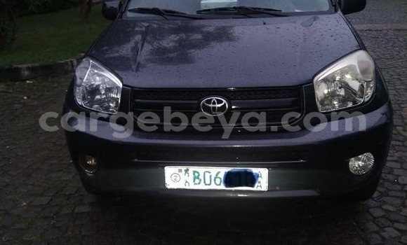 Oofamaa Toyota RAV4 Other Makiinaa iti Addis–Ababa keessatti Ethiopia keessatti