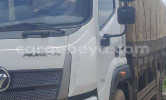 Buy Used Foton Forland White Truck in Addis–Ababa in Ethiopia Buy Used Foton Forland White Truck in Addis–Ababa in Ethiopia
