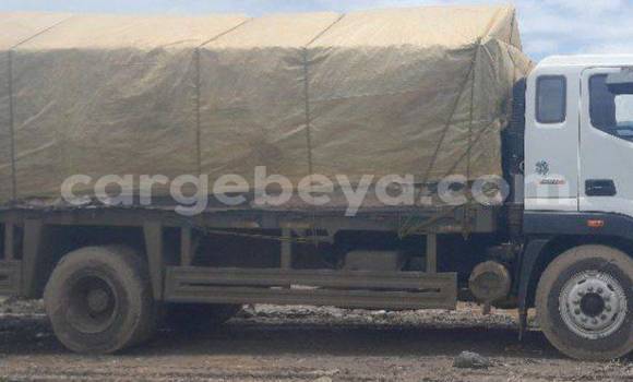 Buy Used Foton Forland White Truck in Addis–Ababa in Ethiopia Buy Used Foton Forland White Truck in Addis–Ababa in Ethiopia