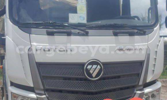 Buy Used Foton Forland White Truck in Addis–Ababa in Ethiopia Buy Used Foton Forland White Truck in Addis–Ababa in Ethiopia