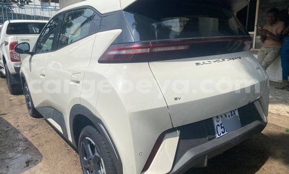 Buy Used BYD E6 White Car in Addis–Ababa in Ethiopia Buy Used BYD E6 White Car in Addis–Ababa in Ethiopia