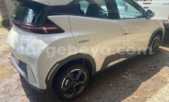 Buy Used BYD E6 White Car in Addis–Ababa in Ethiopia Buy Used BYD E6 White Car in Addis–Ababa in Ethiopia