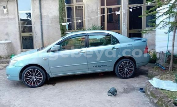 Buy Used Toyota Corolla Other Car in Addis–Ababa in Ethiopia Buy Used Toyota Corolla Other Car in Addis–Ababa in Ethiopia