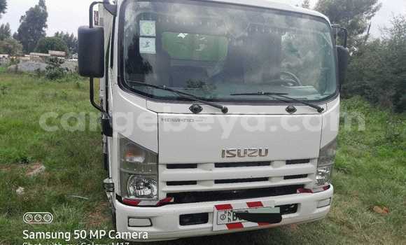 Buy Used Isuzu FTR 850 White Truck in Addis 'Alem in Amhara