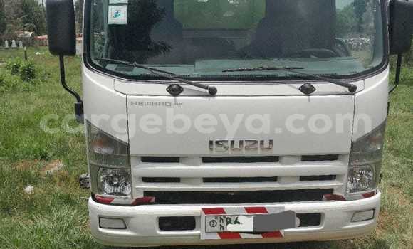 Buy Used Isuzu FTR 850 White Truck in Addis 'Alem in Amhara Buy Used Isuzu FTR 850 White Truck in Addis 'Alem in Amhara