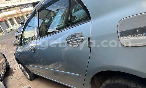 Buy Used Toyota Corolla Blue Car in Addis–Ababa in Ethiopia Buy Used Toyota Corolla Blue Car in Addis–Ababa in Ethiopia