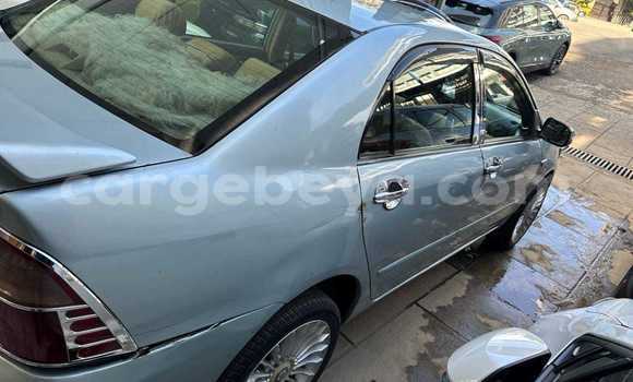 Buy Used Toyota Corolla Blue Car in Addis–Ababa in Ethiopia Buy Used Toyota Corolla Blue Car in Addis–Ababa in Ethiopia