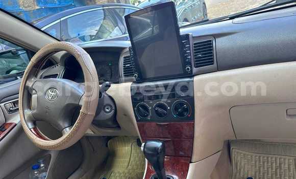 Buy Used Toyota Corolla Blue Car in Addis–Ababa in Ethiopia Buy Used Toyota Corolla Blue Car in Addis–Ababa in Ethiopia