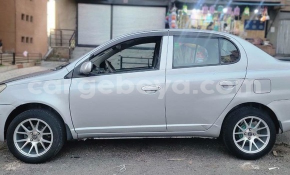 Buy Used Toyota Platz Other Car in Addis–Ababa in Ethiopia Buy Used Toyota Platz Other Car in Addis–Ababa in Ethiopia