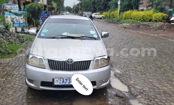 Buy Used Toyota Corolla Other Car in Addis–Ababa in Ethiopia Buy Used Toyota Corolla Other Car in Addis–Ababa in Ethiopia