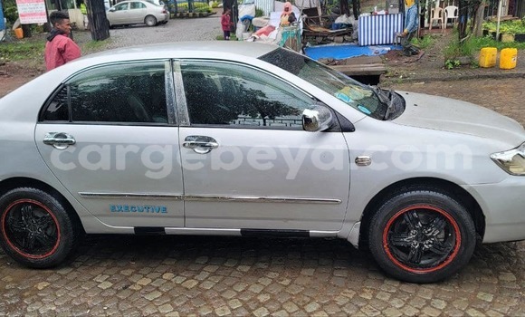 Buy Used Toyota Corolla Other Car in Addis–Ababa in Ethiopia Buy Used Toyota Corolla Other Car in Addis–Ababa in Ethiopia