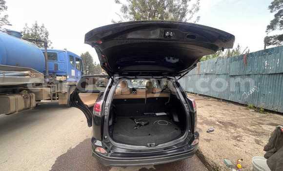Buy Used Toyota RAV4 Other Car in Addis–Ababa in Ethiopia Buy Used Toyota RAV4 Other Car in Addis–Ababa in Ethiopia