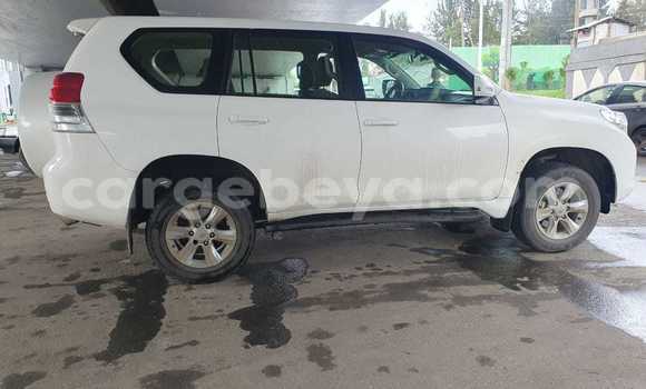 Buy Used Toyota Land Cruiser White Car in Addis–Ababa in Ethiopia Buy Used Toyota Land Cruiser White Car in Addis–Ababa in Ethiopia