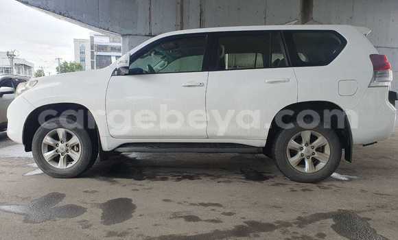 Buy Used Toyota Land Cruiser White Car in Addis–Ababa in Ethiopia Buy Used Toyota Land Cruiser White Car in Addis–Ababa in Ethiopia