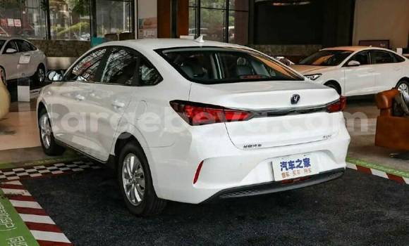 Buy Used Changan Eado White Car in Addis–Ababa in Ethiopia Buy Used Changan Eado White Car in Addis–Ababa in Ethiopia