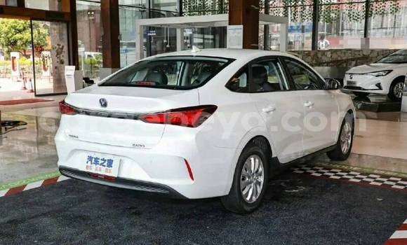 Buy Used Changan Eado White Car in Addis–Ababa in Ethiopia Buy Used Changan Eado White Car in Addis–Ababa in Ethiopia