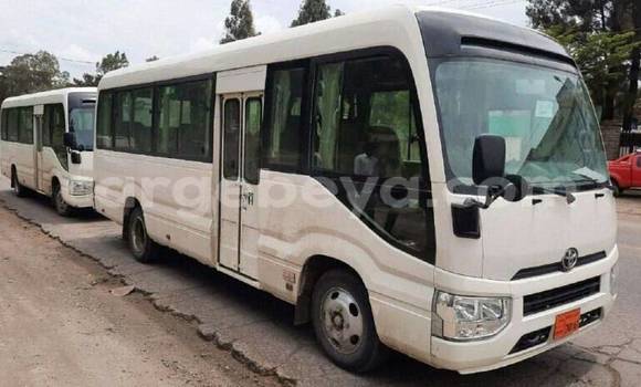 Buy Used Toyota Coaster White Car in Addis–Ababa in Ethiopia Buy Used Toyota Coaster White Car in Addis–Ababa in Ethiopia