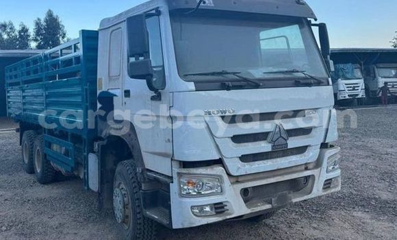 Buy Used Sino Howo Other Truck in Addis–Ababa in Ethiopia Buy Used Sino Howo Other Truck in Addis–Ababa in Ethiopia