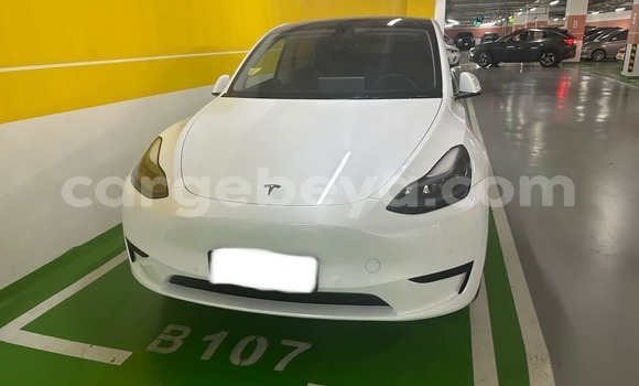 Buy Used Tesla Model 3 White Car in Addis–Ababa in Ethiopia Buy Used Tesla Model 3 White Car in Addis–Ababa in Ethiopia