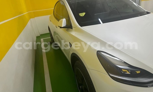 Buy Used Tesla Model 3 White Car in Addis–Ababa in Ethiopia Buy Used Tesla Model 3 White Car in Addis–Ababa in Ethiopia