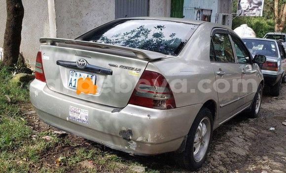 Oofamaa Toyota Corolla Other Makiinaa iti Addis–Ababa keessatti Ethiopia keessatti Oofamaa Toyota Corolla Other Makiinaa iti Addis–Ababa keessatti Ethiopia keessatti