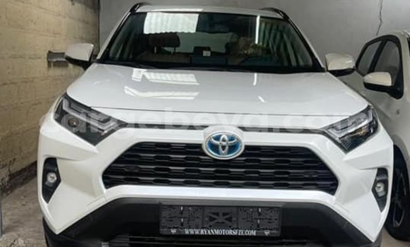 Buy Used Toyota RAV4 White Car in Addis–Ababa in Ethiopia