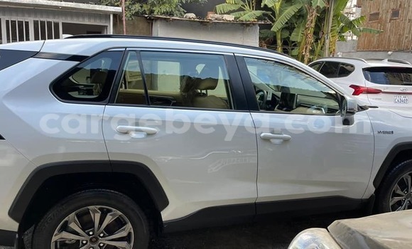 Oofamaa Toyota RAV4 White Makiinaa iti Addis–Ababa keessatti Ethiopia keessatti Oofamaa Toyota RAV4 White Makiinaa iti Addis–Ababa keessatti Ethiopia keessatti