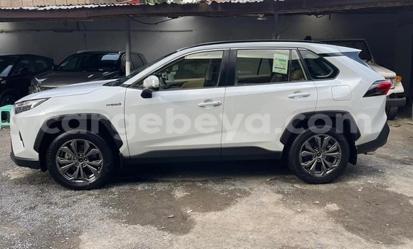 Oofamaa Toyota RAV4 White Makiinaa iti Addis–Ababa keessatti Ethiopia keessatti Oofamaa Toyota RAV4 White Makiinaa iti Addis–Ababa keessatti Ethiopia keessatti