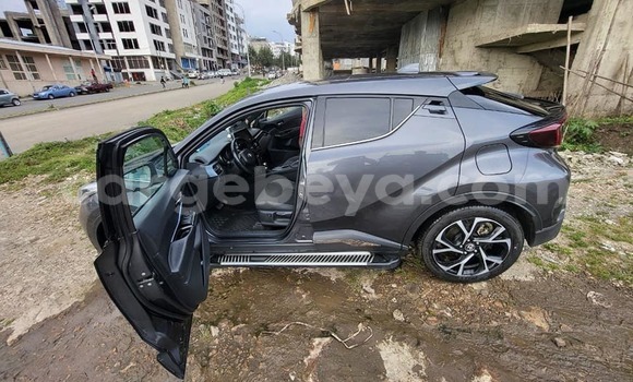 Oofamaa Toyota C-HR Other Makiinaa iti Addis–Ababa keessatti Ethiopia keessatti Oofamaa Toyota C-HR Other Makiinaa iti Addis–Ababa keessatti Ethiopia keessatti