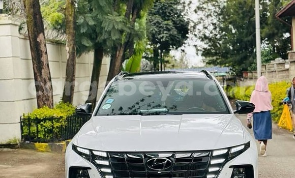 Acheter Occasion Voiture Hyundai Tucson Blanc à Addis Ababa, Ethiopie Acheter Occasion Voiture Hyundai Tucson Blanc à Addis Ababa, Ethiopie